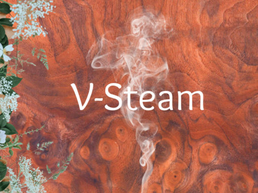 V-Steam Hydrotherapy